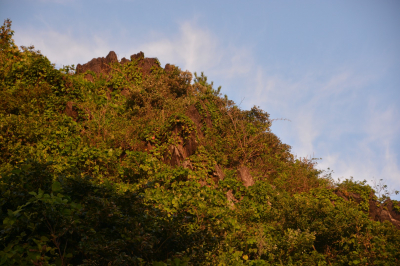 Filename=SCD28.jpg
Filesize=574KiB
Dimensions=1620x1080
Date added=May 18, 2022 SCD28.jpg