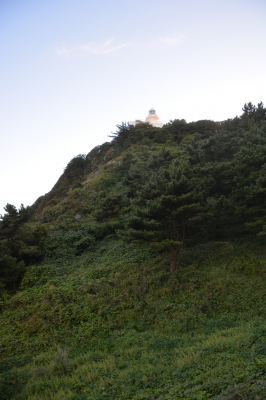 Filename=SCD29.jpg
Filesize=484KiB
Dimensions=1080x1620
Date added=May 18, 2022 SCD29.jpg