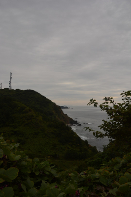 Filename=SCD39.jpg
Filesize=285KiB
Dimensions=1080x1620
Date added=May 18, 2022 SCD39.jpg