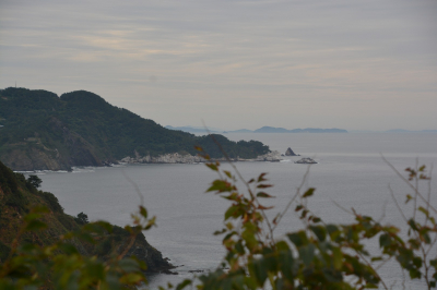 Filename=SCD44.jpg
Filesize=278KiB
Dimensions=1620x1080
Date added=May 18, 2022 SCD44.jpg