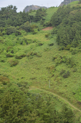 Filename=SCD51.jpg
Filesize=749KiB
Dimensions=1080x1620
Date added=May 18, 2022 SCD51.jpg