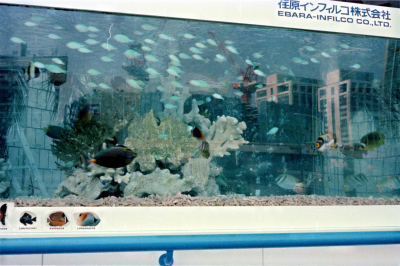 Japan0109.jpg