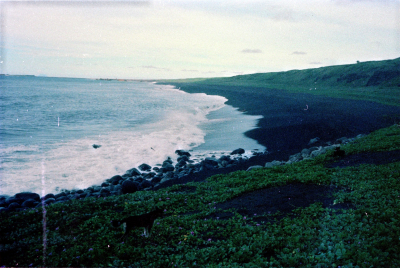 Filename=Japan0166.jpg
Filesize=797KiB
Dimensions=2048x1375
Date added=May 18, 2022 Japan0166.jpg