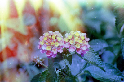 Filename=Japan0185.jpg
Filesize=584KiB
Dimensions=2048x1367
Date added=May 18, 2022 Japan0185.jpg