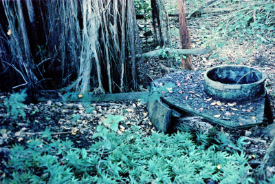 Filename=Japan0211.jpg
Filesize=1115KiB
Dimensions=2048x1370
Date added=May 18, 2022 Japan0211.jpg