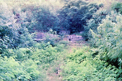 Filename=Japan0215.jpg
Filesize=1133KiB
Dimensions=2048x1377
Date added=May 18, 2022 Japan0215.jpg