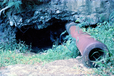 Filename=Japan0216.jpg
Filesize=853KiB
Dimensions=2048x1369
Date added=May 18, 2022 Japan0216.jpg