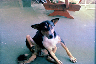 Filename=Japan0223.jpg
Filesize=633KiB
Dimensions=2048x1369
Date added=May 18, 2022 Japan0223.jpg