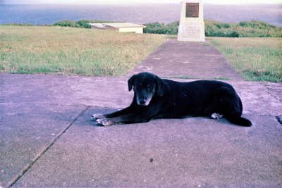 Filename=Japan0224.jpg
Filesize=766KiB
Dimensions=2048x1371
Date added=May 18, 2022 Japan0224.jpg