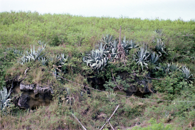 Filename=Japan0286.jpg
Filesize=842KiB
Dimensions=2048x1367
Date added=May 18, 2022 Japan0286.jpg