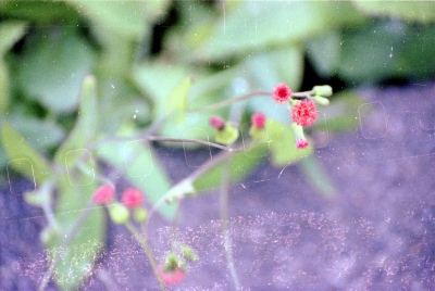 Filename=Japan0290.jpg
Filesize=698KiB
Dimensions=2048x1377
Date added=May 18, 2022 Japan0290.jpg