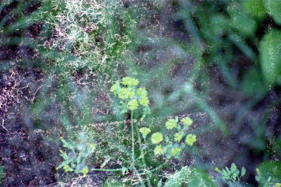 Filename=Japan0292.jpg
Filesize=1070KiB
Dimensions=2048x1371
Date added=May 18, 2022 Japan0292.jpg