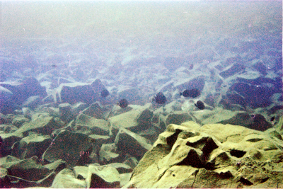 Filename=Japan0298.jpg
Filesize=1010KiB
Dimensions=2048x1370
Date added=May 18, 2022 Japan0298.jpg