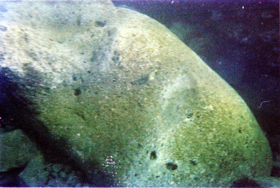 Filename=Japan0300.jpg
Filesize=1286KiB
Dimensions=2048x1380
Date added=May 18, 2022 Japan0300.jpg