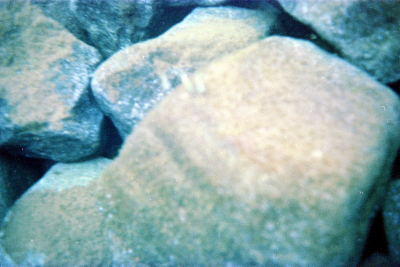 Filename=Japan0301.jpg
Filesize=800KiB
Dimensions=2048x1368
Date added=May 18, 2022 Japan0301.jpg