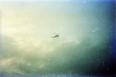 Filename=Japan0307.jpg
Filesize=1038KiB
Dimensions=2048x1362
Date added=May 18, 2022 Japan0307.jpg