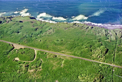 Filename=Japan0351.jpg
Filesize=1156KiB
Dimensions=2048x1372
Date added=May 18, 2022 Japan0351.jpg