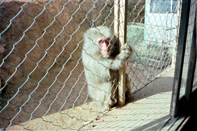 Filename=Japan0480.jpg
Filesize=685KiB
Dimensions=2048x1366
Date added=May 18, 2022 Japan0480.jpg