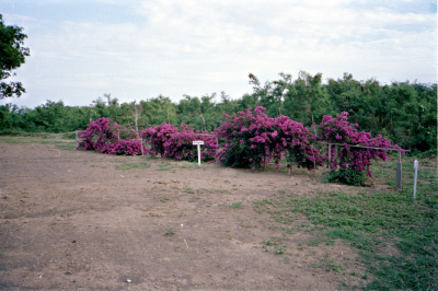 Filename=Japan0537.jpg
Filesize=677KiB
Dimensions=2048x1363
Date added=May 18, 2022 Japan0537.jpg