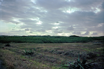 Filename=Japan0563.jpg
Filesize=662KiB
Dimensions=2048x1362
Date added=May 18, 2022 Japan0563.jpg