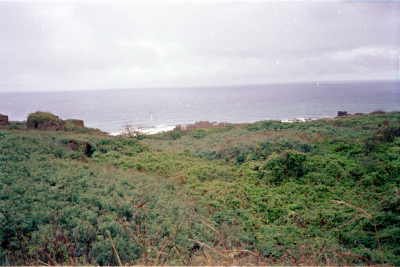 Filename=Japan0568.jpg
Filesize=721KiB
Dimensions=2048x1372
Date added=May 18, 2022 Japan0568.jpg