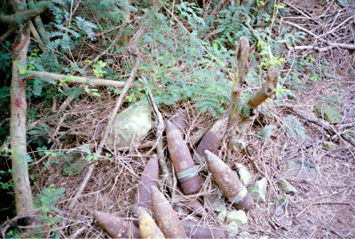 Filename=Japan0629.jpg
Filesize=892KiB
Dimensions=2048x1382
Date added=May 18, 2022 Japan0629.jpg