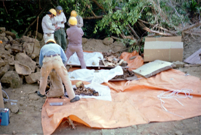 Filename=Japan0631.jpg
Filesize=650KiB
Dimensions=2048x1377
Date added=May 18, 2022 Japan0631.jpg