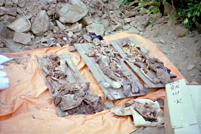 Filename=Japan0636.jpg
Filesize=714KiB
Dimensions=2048x1368
Date added=May 18, 2022 Japan0636.jpg