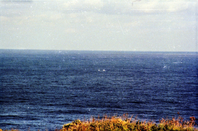 Filename=Japan0668.jpg
Filesize=984KiB
Dimensions=2048x1366
Date added=May 18, 2022 Japan0668.jpg