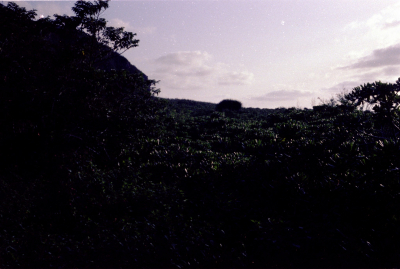 Filename=Japan0735.jpg
Filesize=424KiB
Dimensions=2048x1380
Date added=May 18, 2022 Japan0735.jpg