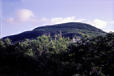 Filename=Japan0736.jpg
Filesize=609KiB
Dimensions=2048x1368
Date added=May 18, 2022 Japan0736.jpg