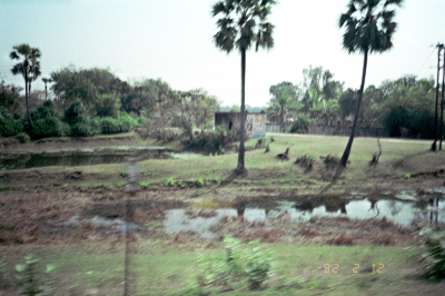 Filename=India_-_030.JPG
Filesize=7070KiB
Dimensions=3864x2576
Date added=Aug 25, 2022 India_-_030.JPG